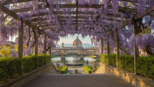 Florence Blooms